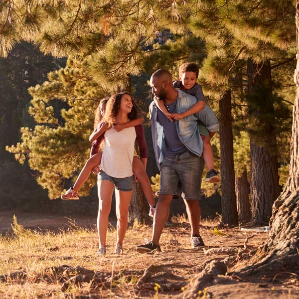 family roaming around the trees